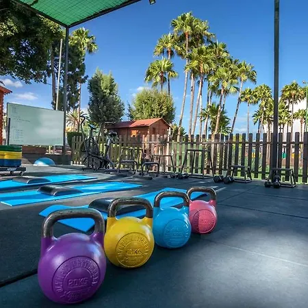 Barcelo Margaritas Royal Level Adults Only Hotel 4*