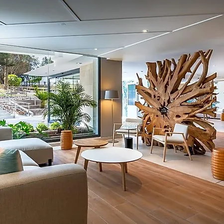 Barcelo Margaritas Royal Level Adults Only 酒店 普拉亚戴尔雷安格莱斯