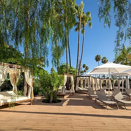 Barcelo Margaritas Royal Level Adults Only Hotel